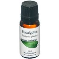 Eucalyptus