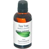 Tea Tree