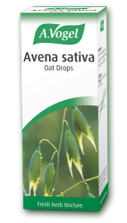 Avena sativa