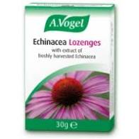 Enchinacea Lozenges