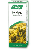 Solidago Complex (50ml)