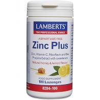 Zinc Plus Lozenges (100 lozenges)